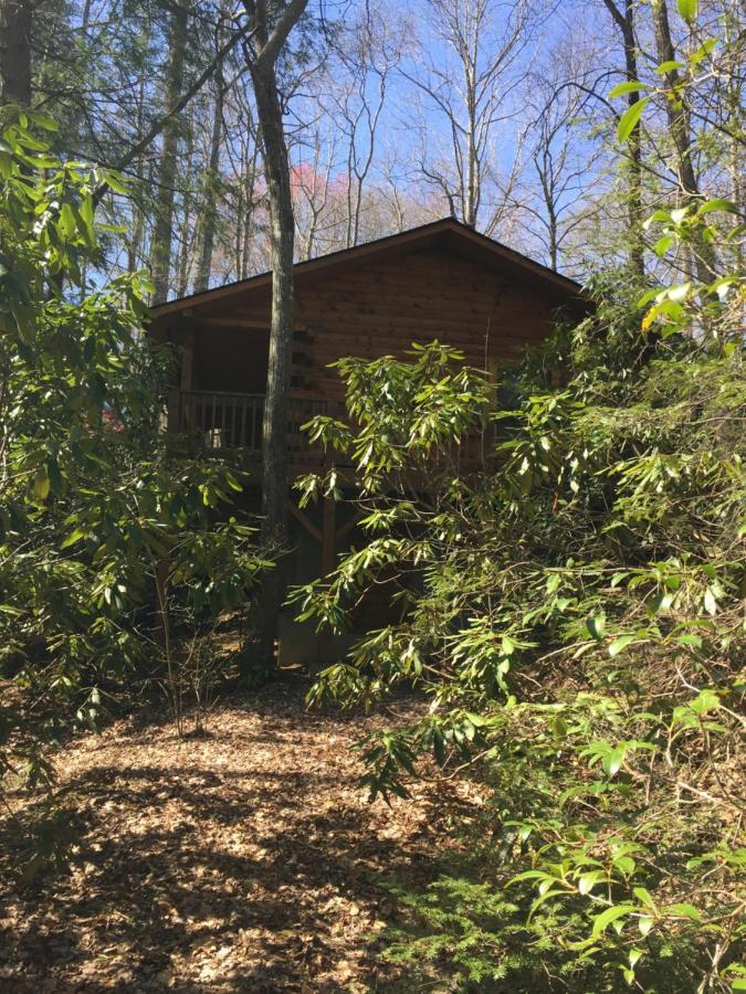 מגי ואלי Misty Creek Log Cabins מראה חיצוני תמונה